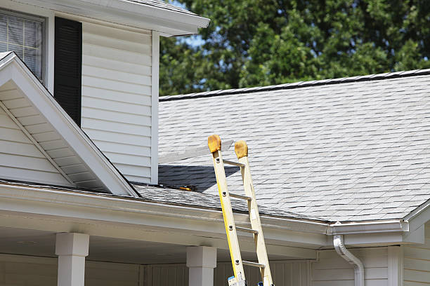 Best Siding for New Construction  in Williamson, AZ